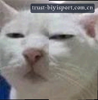 吴总